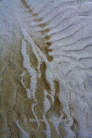 sand and rusty water 3727 22 graphic